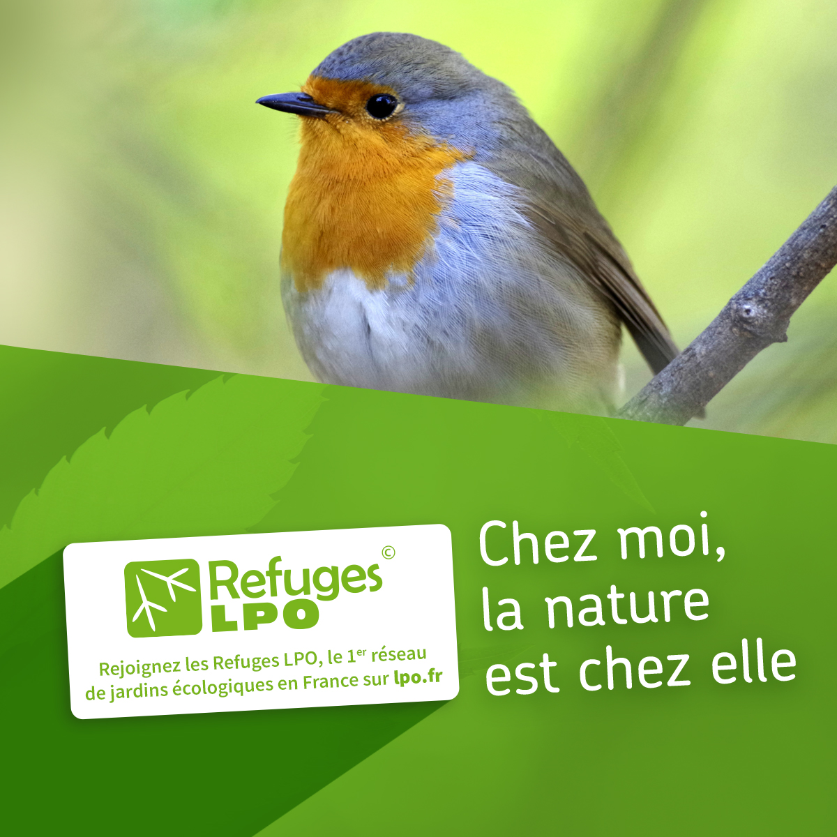 Refuges LPO