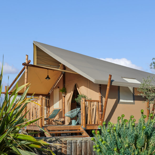 LODGES CIAT – SUNSHINE HABITAT