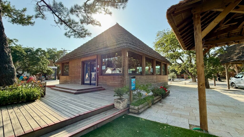 Couverture de toit en roseau