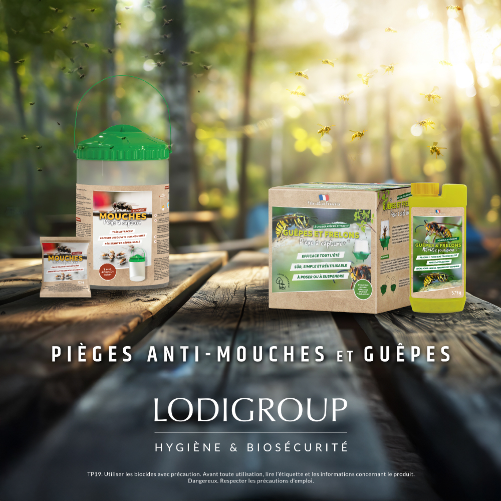 Solutions Anti-mouches et guêpes